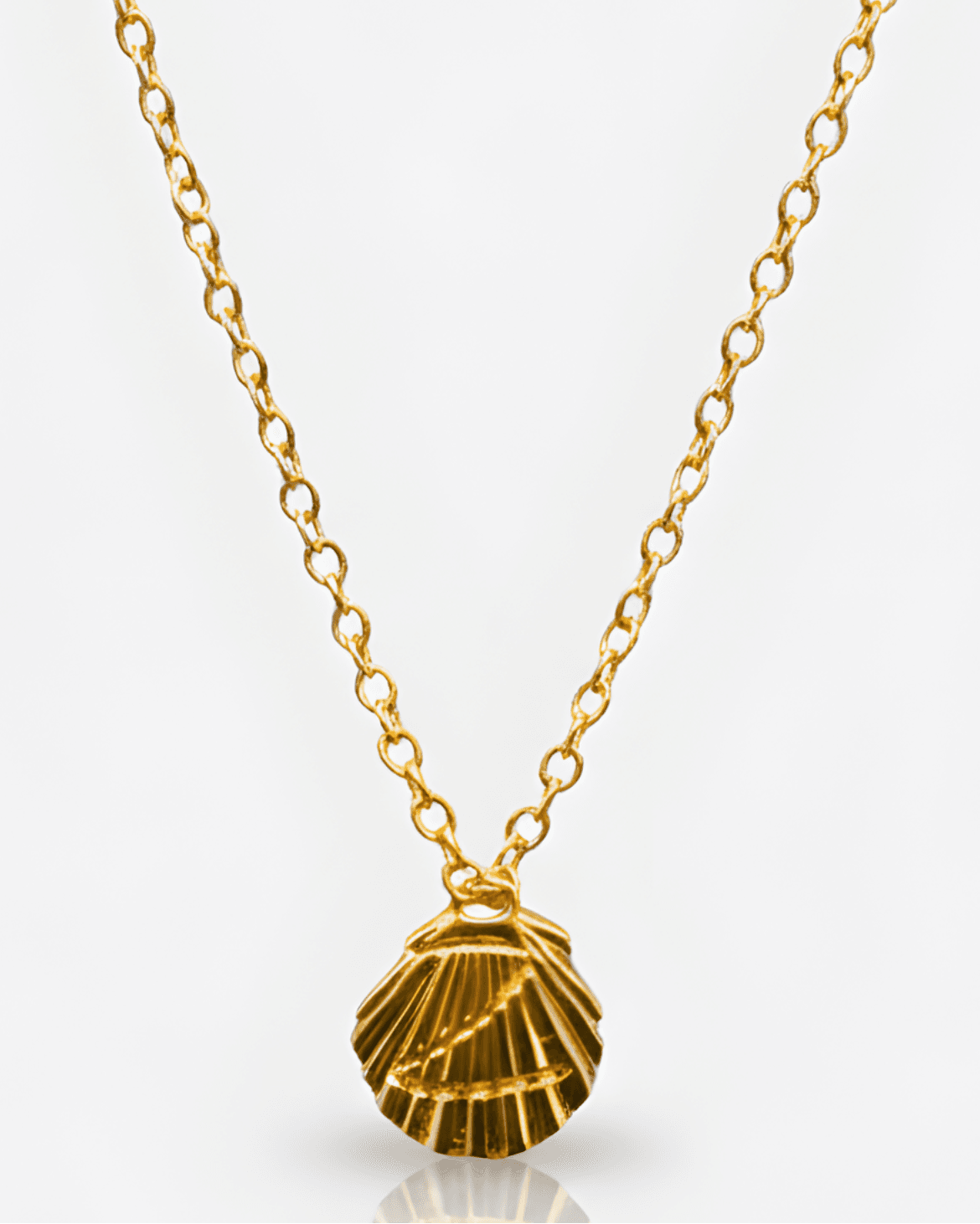 Z Shell by Royale Merchant
